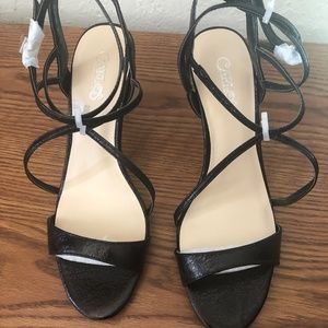 CARLOS Danika by Carlos Santana